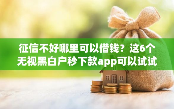 征信不好哪里可以借钱？这6个无视黑白户秒下款app可以试试
