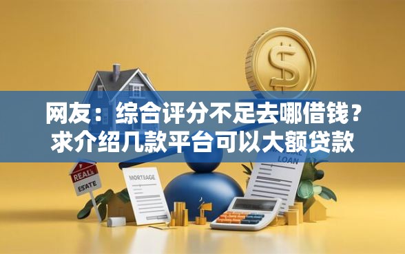 网友：综合评分不足去哪借钱？求介绍几款平台可以大额贷款