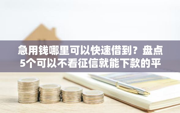 急用钱哪里可以快速借到？盘点5个可以不看征信就能下款的平台给你参考