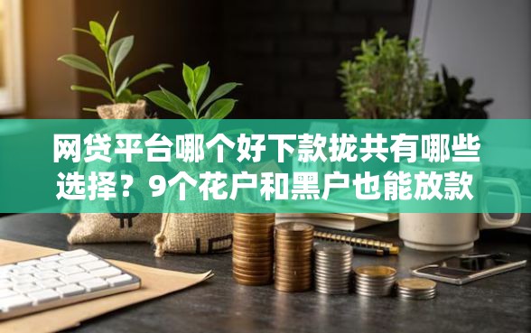 网贷平台哪个好下款拢共有哪些选择？9个花户和黑户也能放款的平台详解