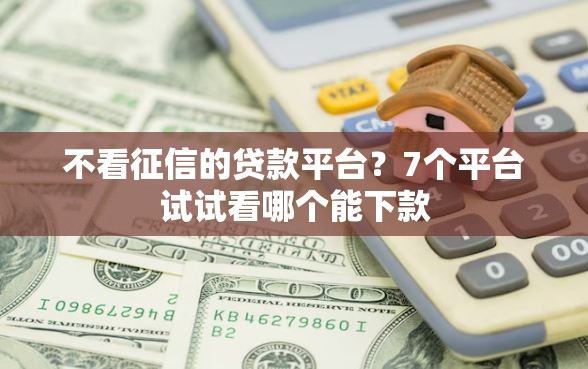 不看征信的贷款平台？7个平台试试看哪个能下款