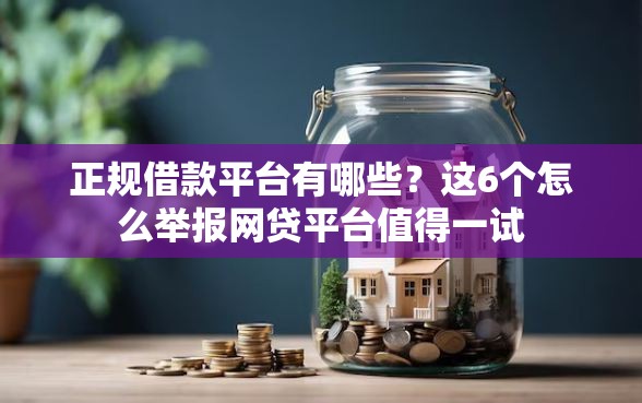 正规借款平台有哪些？这6个怎么举报网贷平台值得一试
