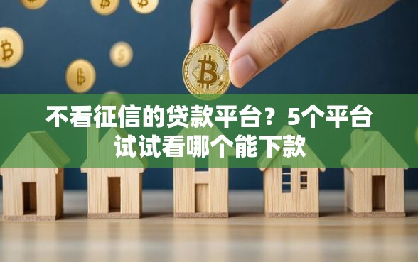 不看征信的贷款平台？5个平台试试看哪个能下款