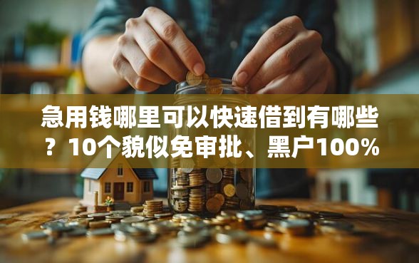 急用钱哪里可以快速借到有哪些？10个貌似免审批、黑户100%能下款的平台合集