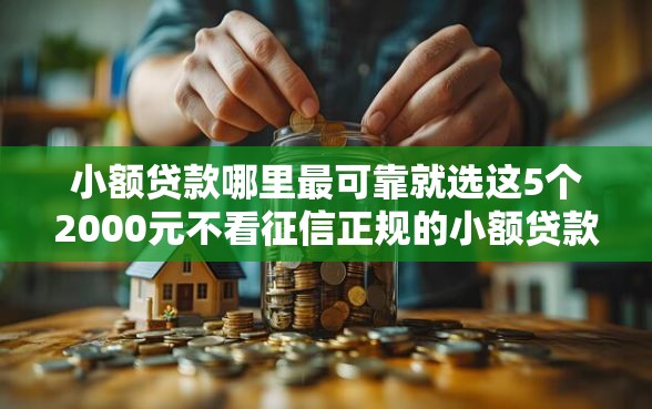 小额贷款哪里最可靠就选这5个2000元不看征信正规的小额贷款平台