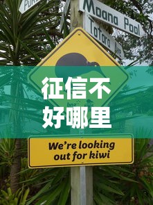 征信不好哪里可以借钱就选这8个4千元什么贷款不上征信平台