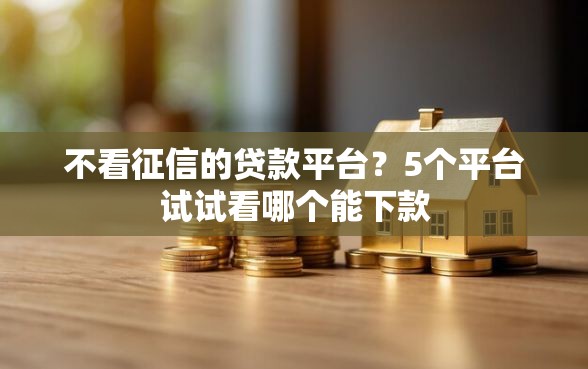 不看征信的贷款平台？5个平台试试看哪个能下款
