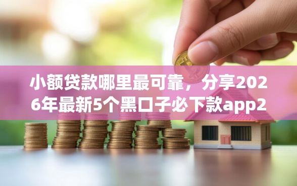 小额贷款哪里最可靠，分享2026年最新5个黑口子必下款app2023