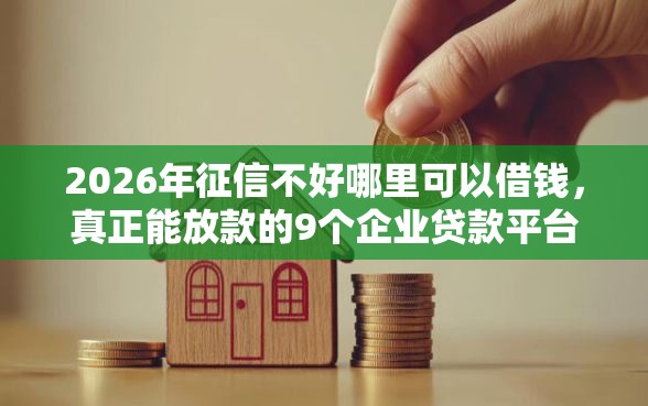 2026年征信不好哪里可以借钱，真正能放款的9个企业贷款平台好推荐