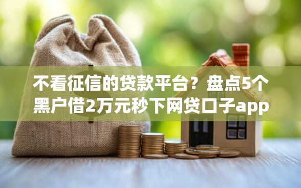 不看征信的贷款平台？盘点5个黑户借2万元秒下网贷口子app给你参考