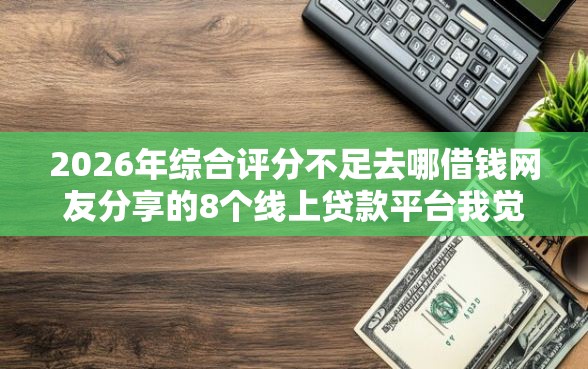 2026年综合评分不足去哪借钱网友分享的8个线上贷款平台我觉得不错！