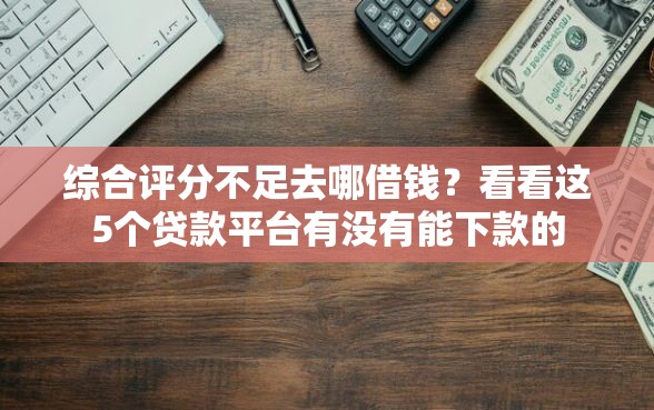 综合评分不足去哪借钱？看看这5个贷款平台有没有能下款的
