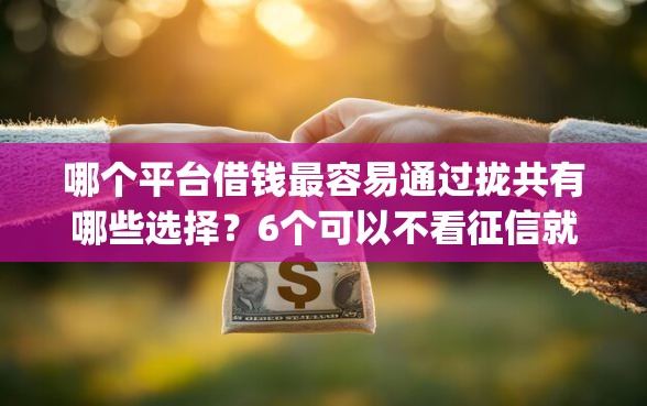 哪个平台借钱最容易通过拢共有哪些选择？6个可以不看征信就能下款的app详解