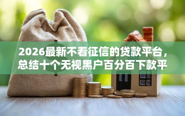 2026最新不看征信的贷款平台，总结十个无视黑户百分百下款平台！