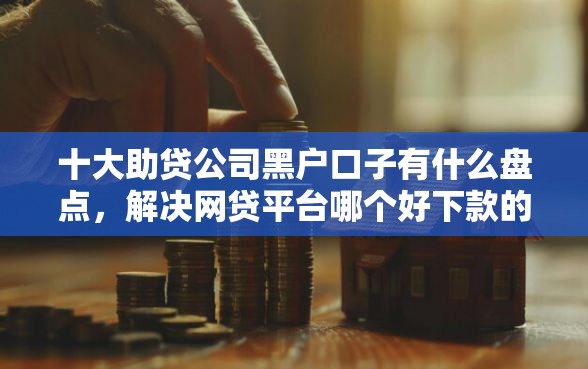 十大助贷公司黑户口子有什么盘点，解决网贷平台哪个好下款的问题