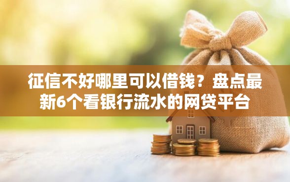 征信不好哪里可以借钱？盘点最新6个看银行流水的网贷平台
