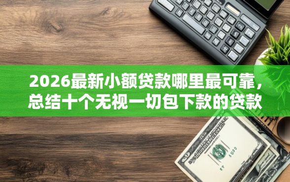 2026最新小额贷款哪里最可靠，总结十个无视一切包下款的贷款口子！