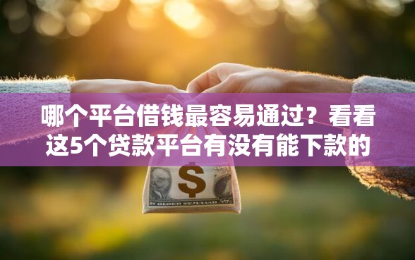 哪个平台借钱最容易通过？看看这5个贷款平台有没有能下款的