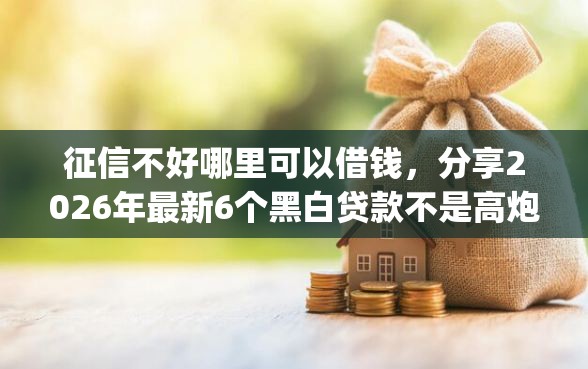 征信不好哪里可以借钱，分享2026年最新6个黑白贷款不是高炮的app