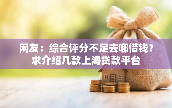 网友：综合评分不足去哪借钱？求介绍几款上海贷款平台