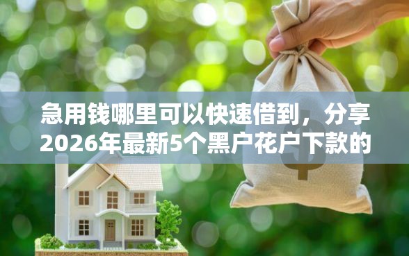 急用钱哪里可以快速借到，分享2026年最新5个黑户花户下款的口子2025