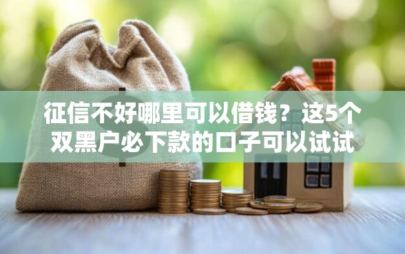 征信不好哪里可以借钱？这5个双黑户必下款的口子可以试试