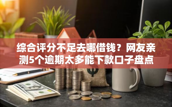 综合评分不足去哪借钱？网友亲测5个逾期太多能下款口子盘点
