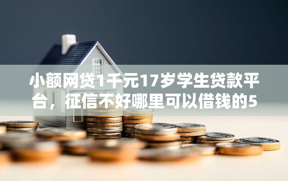 小额网贷1千元17岁学生贷款平台，征信不好哪里可以借钱的5个平台介绍
