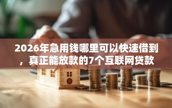 2026年急用钱哪里可以快速借到，真正能放款的7个互联网贷款平台推荐