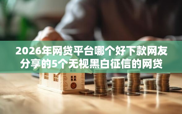 2026年网贷平台哪个好下款网友分享的5个无视黑白征信的网贷我觉得不错！