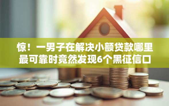 惊！一男子在解决小额贷款哪里最可靠时竟然发现6个黑征信口子，事后分享了出来