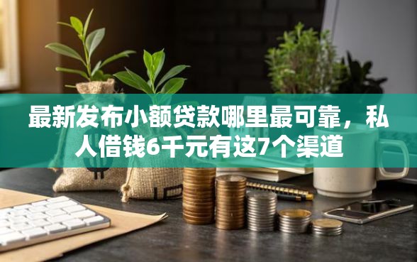 最新发布小额贷款哪里最可靠，私人借钱6千元有这7个渠道