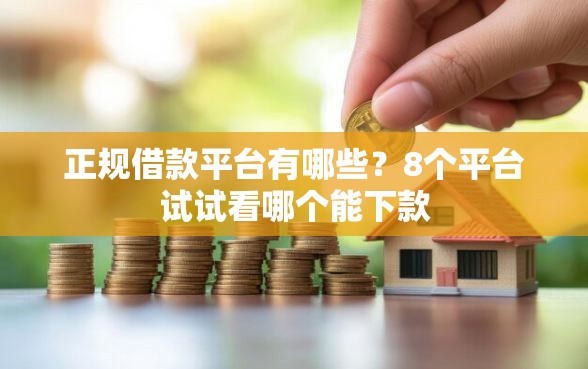 正规借款平台有哪些？8个平台试试看哪个能下款