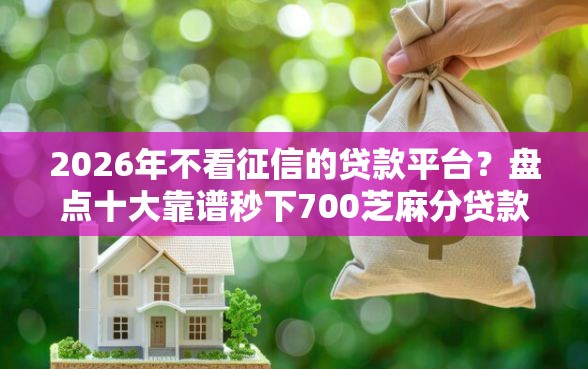 2026年不看征信的贷款平台？盘点十大靠谱秒下700芝麻分贷款平台