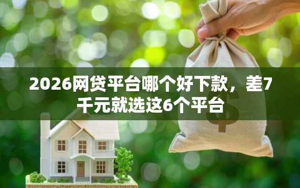2026网贷平台哪个好下款，差7千元就选这6个平台