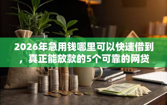 2026年急用钱哪里可以快速借到，真正能放款的5个可靠的网贷平台推荐