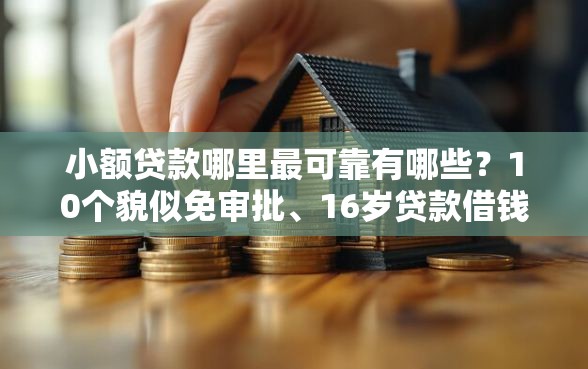 小额贷款哪里最可靠有哪些？10个貌似免审批、16岁贷款借钱的平台合集