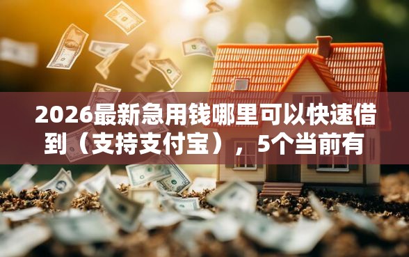 2026最新急用钱哪里可以快速借到（支持支付宝），5个当前有逾期可以在借款平台借钱无私分享
