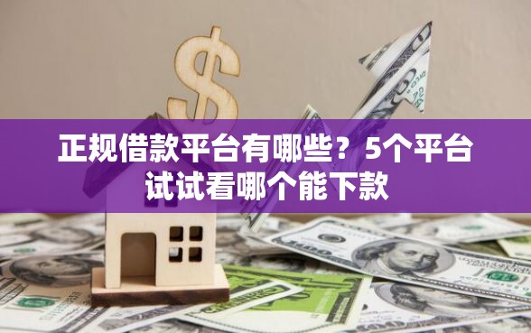 正规借款平台有哪些？5个平台试试看哪个能下款