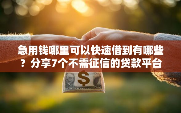 急用钱哪里可以快速借到有哪些？分享7个不需征信的贷款平台