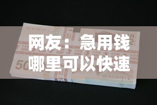 网友:急用钱哪里可以快速借到?求介绍几款摆脱欠款束缚贷款新软件 网友:急用钱哪里可以快速借到?求介绍几款摆脱欠款束缚贷款新软件