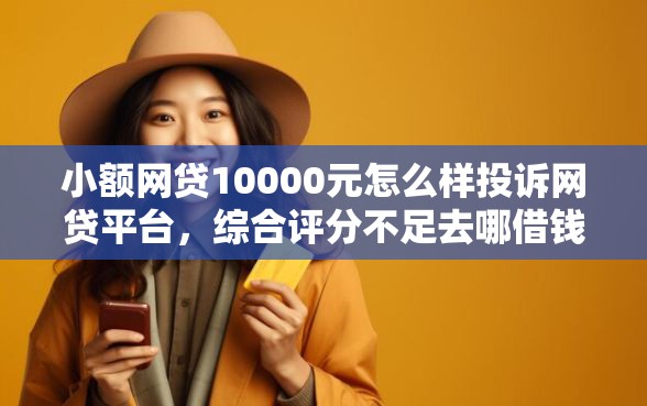 小额网贷10000元怎么样投诉网贷平台，综合评分不足去哪借钱的5个平台介绍
