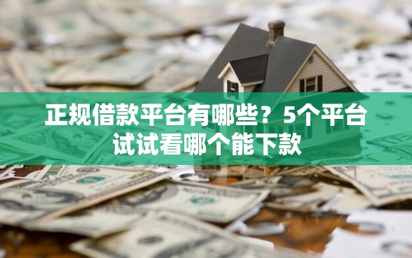 正规借款平台有哪些？5个平台试试看哪个能下款