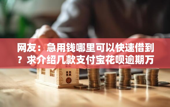 网友：急用钱哪里可以快速借到？求介绍几款支付宝花呗逾期万元快速贷款平台