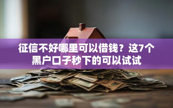 征信不好哪里可以借钱？这7个黑户口子秒下的可以试试