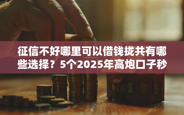 征信不好哪里可以借钱拢共有哪些选择？5个2025年高炮口子秒下款详解