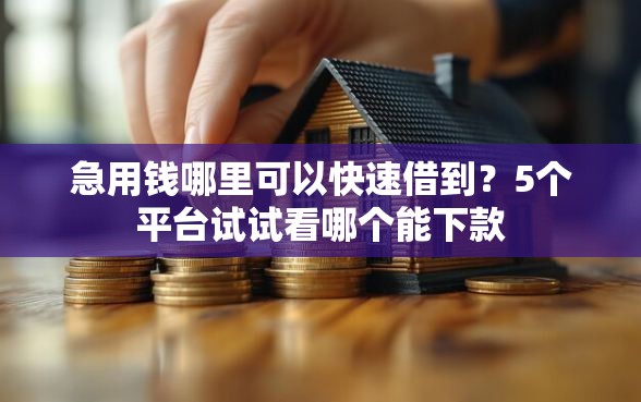 急用钱哪里可以快速借到？5个平台试试看哪个能下款