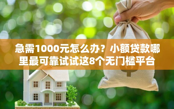 急需1000元怎么办？小额贷款哪里最可靠试试这8个无门槛平台