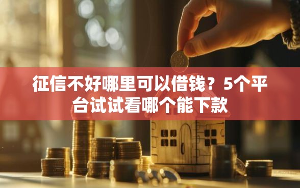 征信不好哪里可以借钱？5个平台试试看哪个能下款