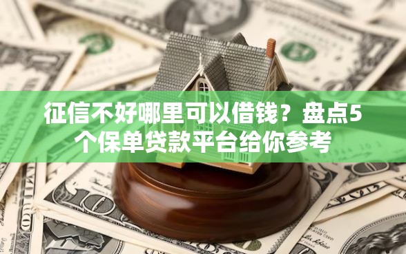 征信不好哪里可以借钱？盘点5个保单贷款平台给你参考